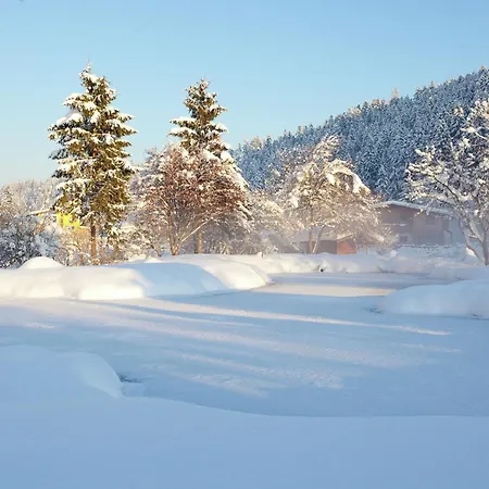 Attractive In With Sauna Chalet